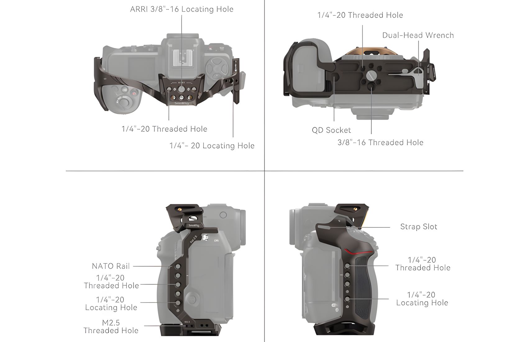 Night Eagle for Nikon Z8